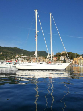 aquarella